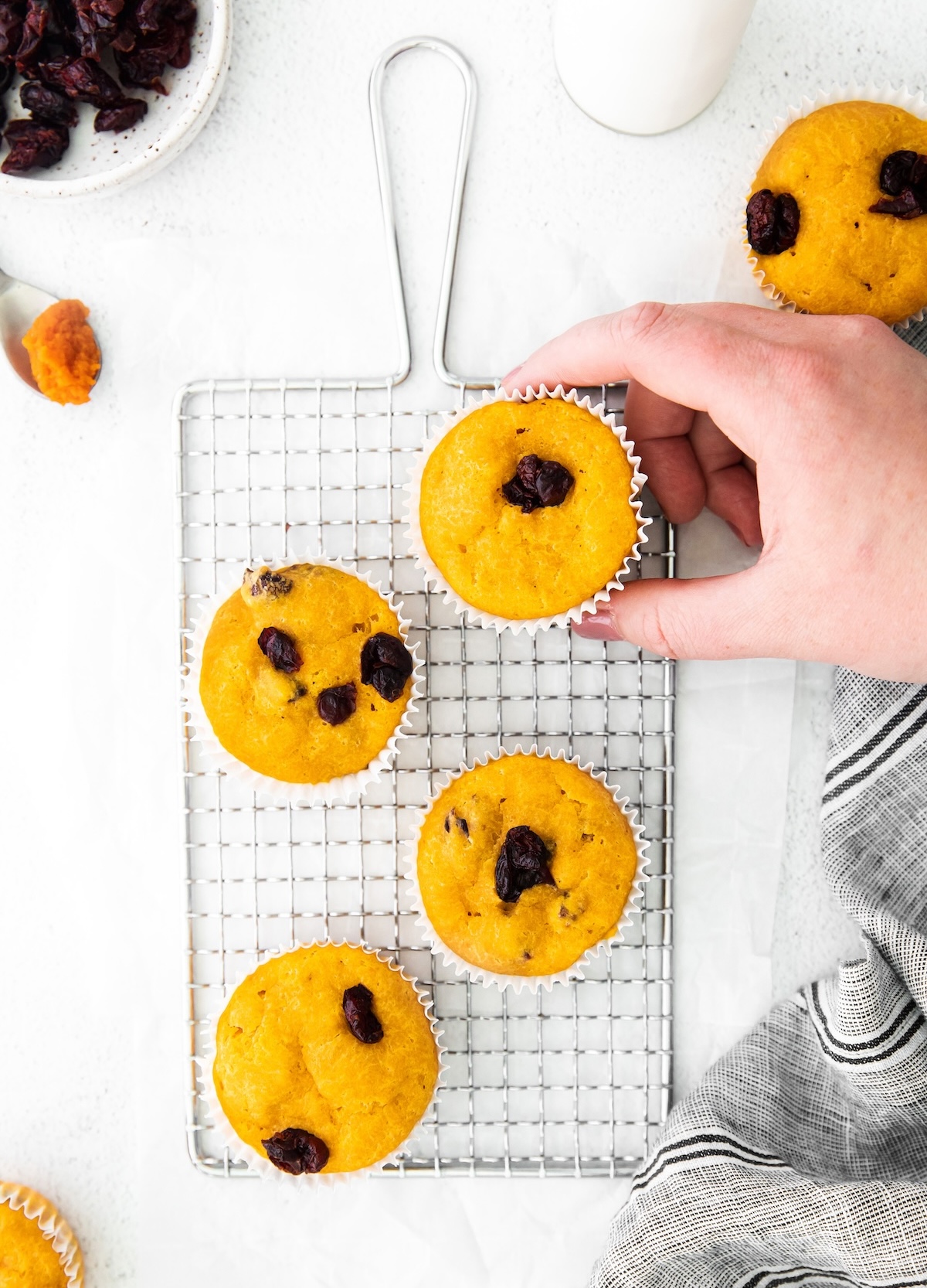 pumpkin and cranberry muffins