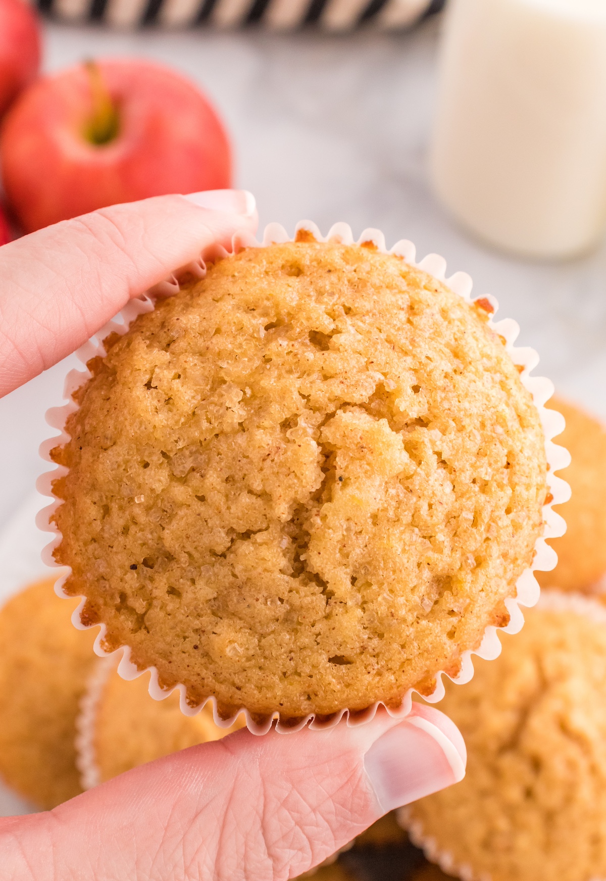 apple cider muffin recipe