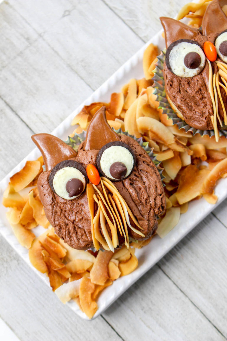 owl fall cupcakes