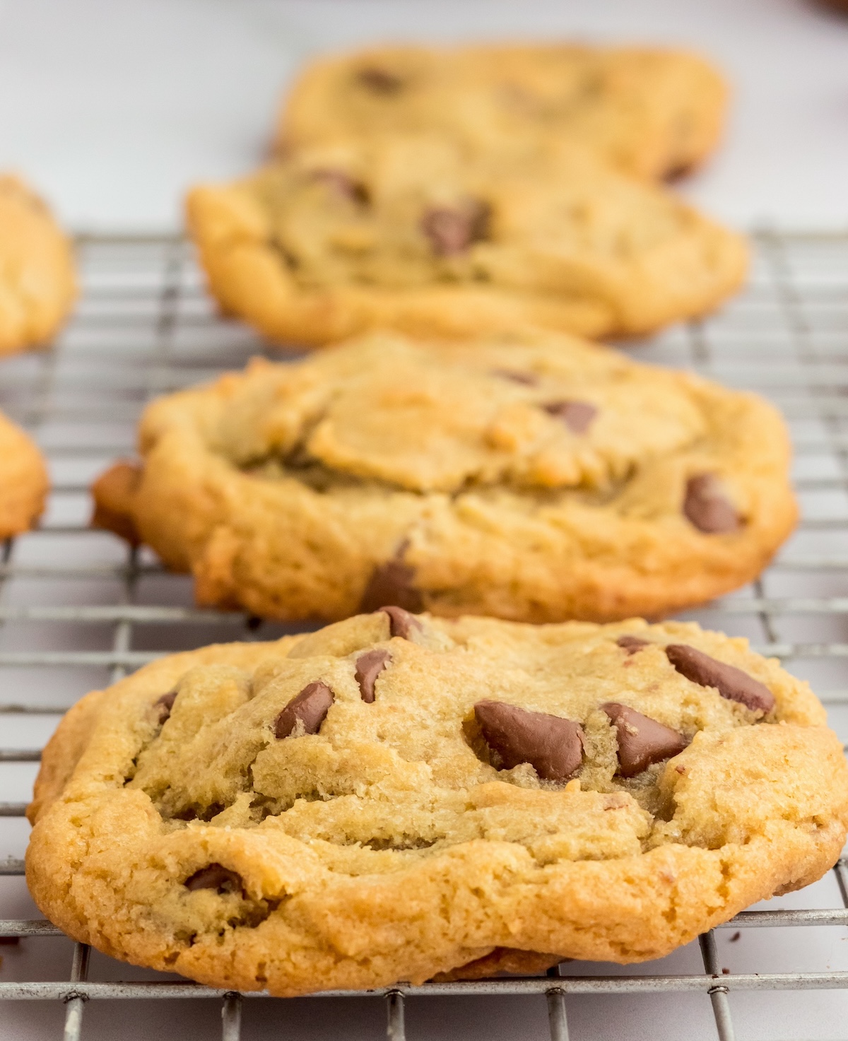 chewy chocolate chip cookies