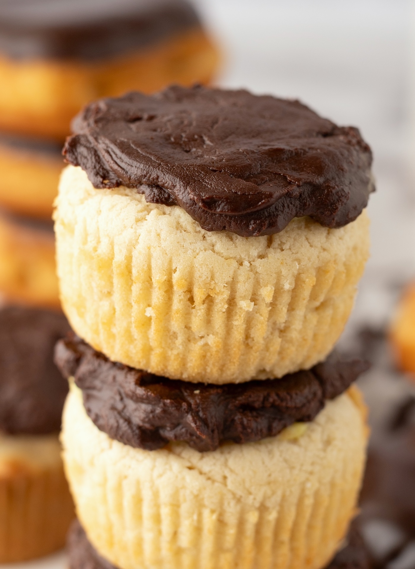 boston cream filled cupcakes